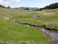 Carson NF Meadows